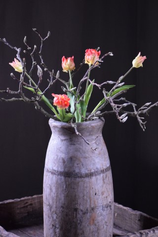 Papegaai decoratie landelijke stijl